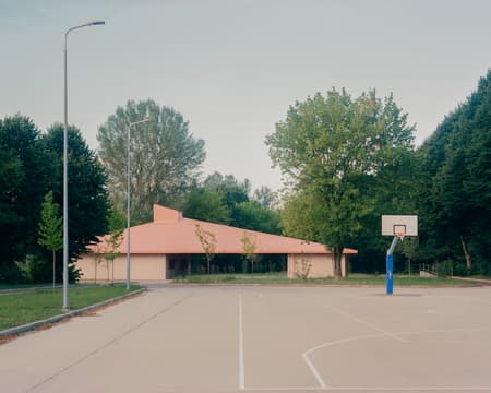 Under the Pink Roof